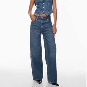 Aritzia (Denim Forum) The '90s Lo-Rise Baggy Wide Jean